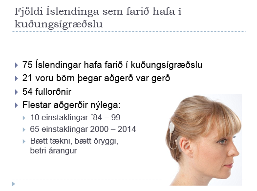 islenskir kudungsigraedsluthegar